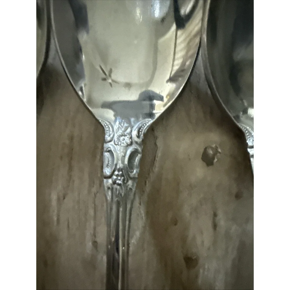 National SONORA Stainless‎ NS Japan Floral Glossy Silverware Flatware Lot of 4